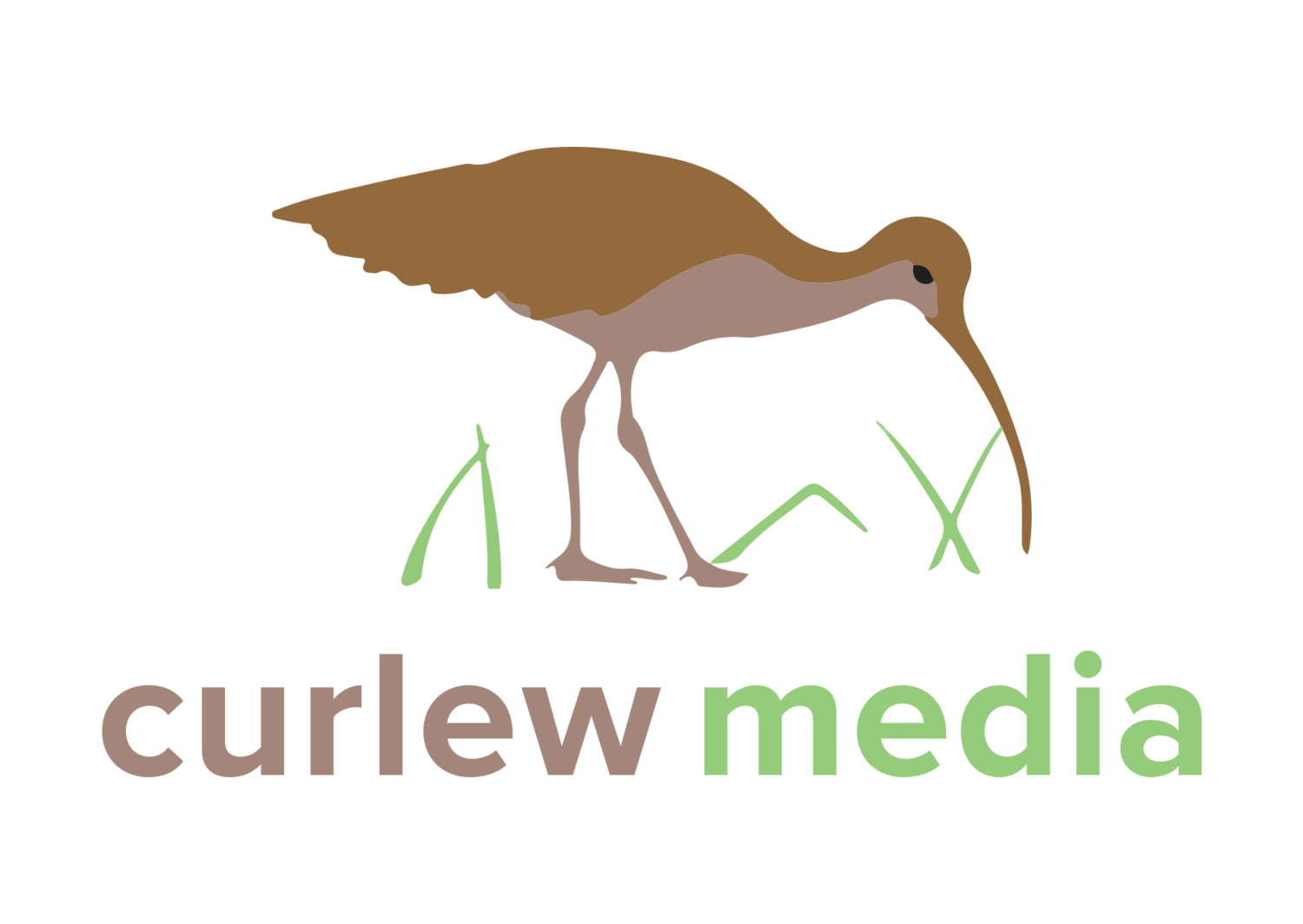 Curlew Media & Consultancy